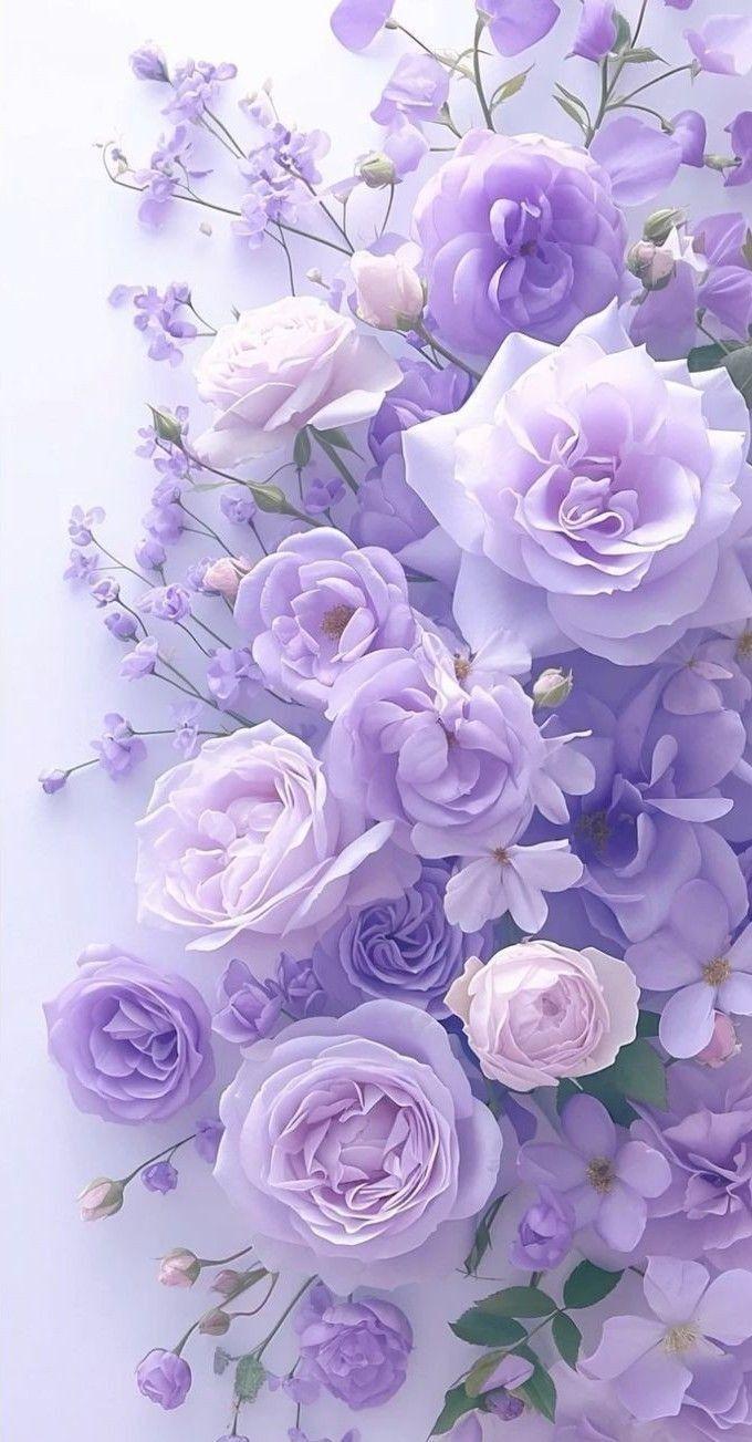 Twilight Enchantment: Velvet Petal Symphony